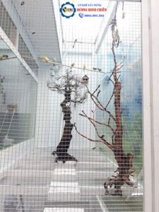 Làm Chuồng Chim Cảnh Đẹp